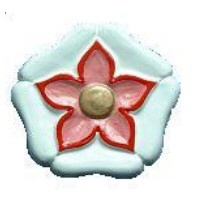 Northampton Rose - small